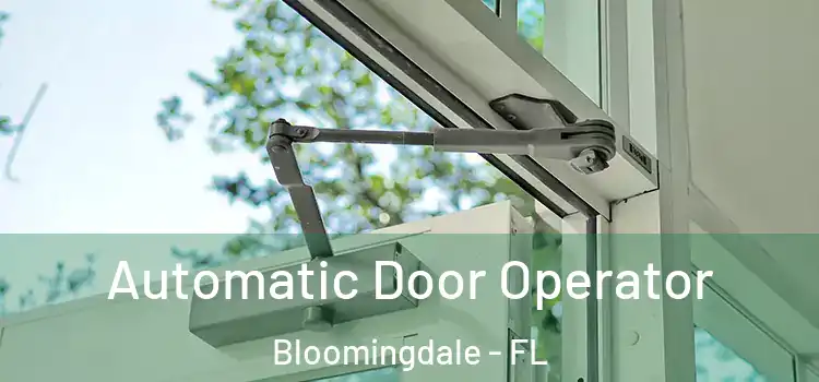 Automatic Door Operator Bloomingdale - FL