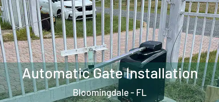 Automatic Gate Installation Bloomingdale - FL