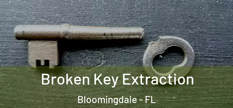  Broken Key Extraction Bloomingdale - FL
