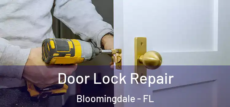 Door Lock Repair Bloomingdale - FL