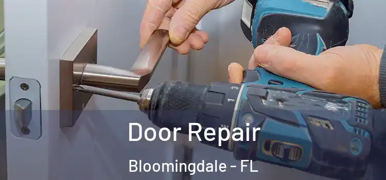 Door Repair Bloomingdale - FL