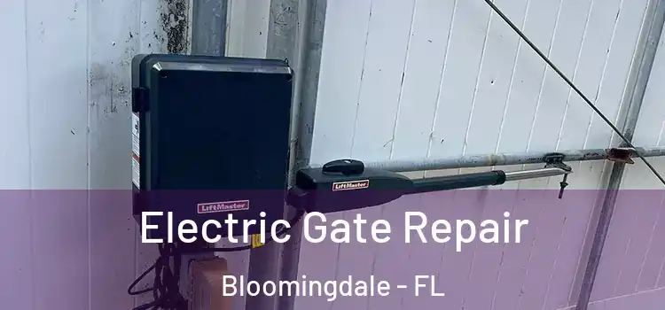 Electric Gate Repair Bloomingdale - FL