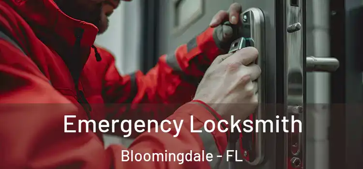  Emergency Locksmith Bloomingdale - FL