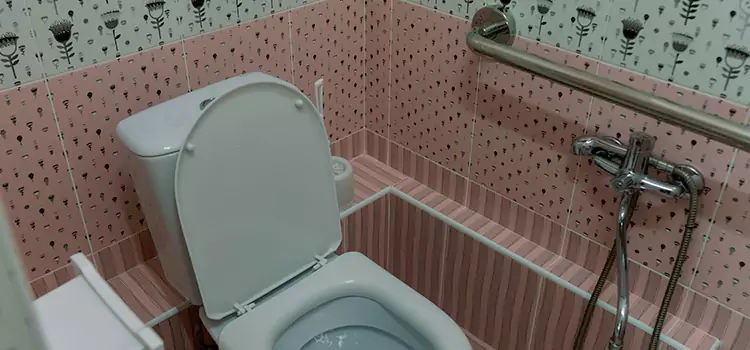 Meeting Diverse Needs With Accessible Restroom Solutions in Bloomingdale, FL