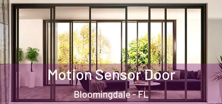  Motion Sensor Door Bloomingdale - FL