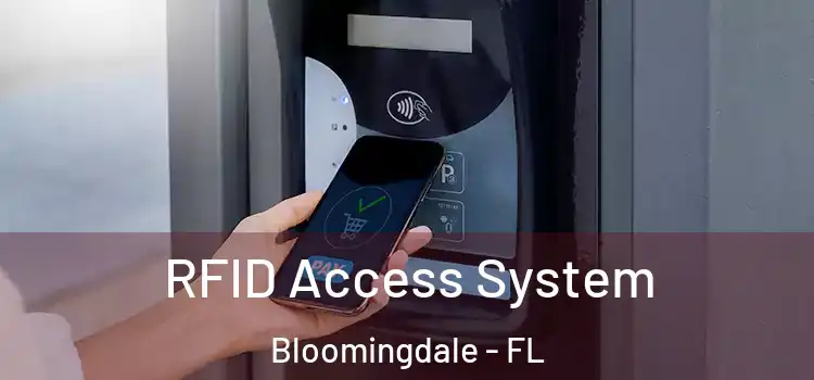  RFID Access System Bloomingdale - FL