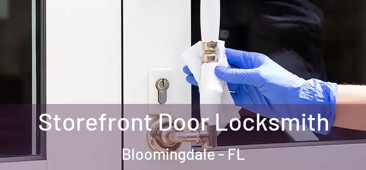 Storefront Door Locksmith Bloomingdale - FL